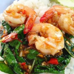 กะเพรากุ้งราดข้าว