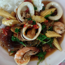 กระเพราทะเลไข่เยี่ยวม้า