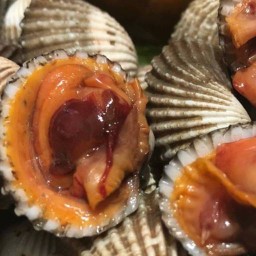 หอยแครงซิ่ง .