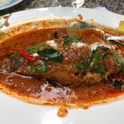 ปลาหมอฉูฉี่ 1ตัวใหญ่