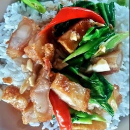 หมูกรอบมั้ย หาดใหญ่ เขต8 สายกลาง