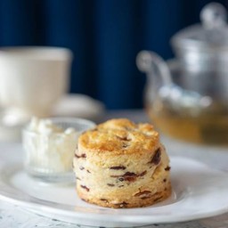 Cranberry scone with clotted cream