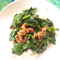 ผัดคะน้า