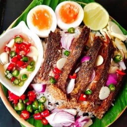 มอ.หมูทอดราดข้าว @KU @KU