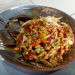 ยำไข่แมงดาทะเล(แมงดาจาน)