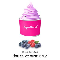 Mixed Berry Tart 22oz