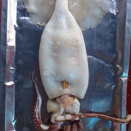หมึกสดย่างเจ๊น้อย