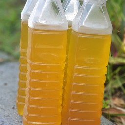 น้ำเก๊กฮวย