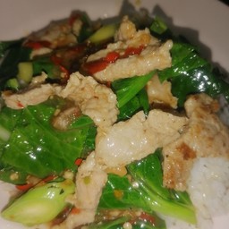 ผัดคะน้าหมูชิ้น