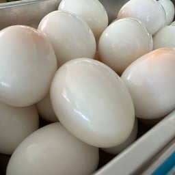 ไข่ต้มยางมะตูม