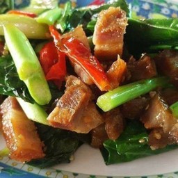 ผัดคะน้า (เป็นกับข้าว)