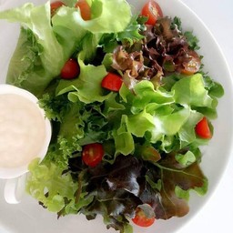 สลัดผัก