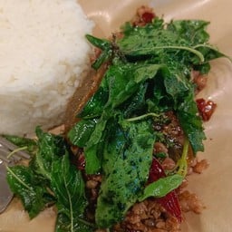 กะเพราไข่เยี่ยวม้าหมูสับ