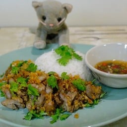 ครัวทาสแมว