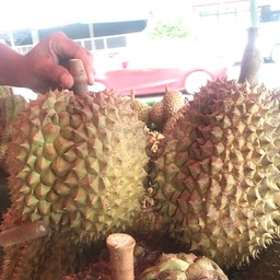 ร้านเจ้ต่ายข้างวัดป่า