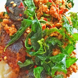 กระเพราหมูสับไข่เยี่ยวม้าราดข้าว