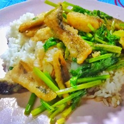 ปลาทอดผัดขึ้นฉ่ายราดข้าว