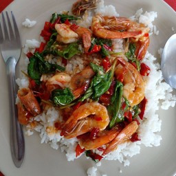 กระเพราโจรกุ้ง  ราดข้าว
