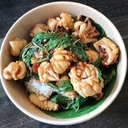 กะเพราปลาหมึกราดข้าว