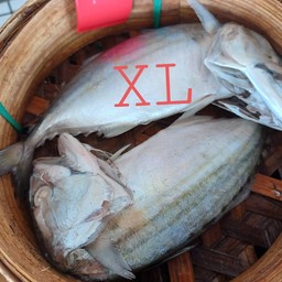 ปลาทูนึ่งไซส์XLจำนวน 2 ตัว