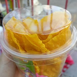 เกี๊ยวทอด