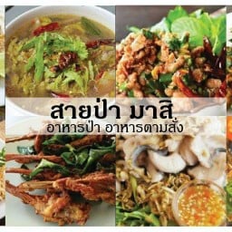 สายป่ามาสิ อาหารป่า.อีสาน.ตามสั่ง