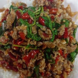 กระเพราโจรเนื้อ ราดข้าว