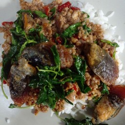 กระเพราไจรไข่เยี่ยวม้า ราดข้าว