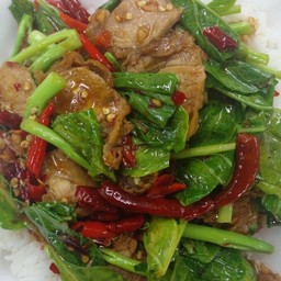 คะน้าไก่แซ่บ ราดข้าว