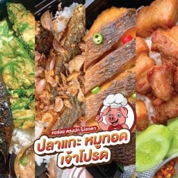 ปลาแกะ เจ้าโปรด