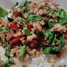 กระเพราหมูราดข้าว