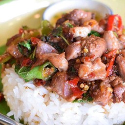 กะเพราเครื่องในราดข้าว