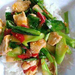 คะน้าหมูไก่ชินเเบบอิ่ม