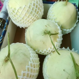 แคนตาลูป 1 ลูก (นน. 1.4 โล No.050)