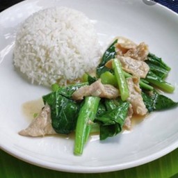 ไก่คะน้าราดข้าว