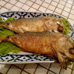 ปลาทูทอด (1ตัว)