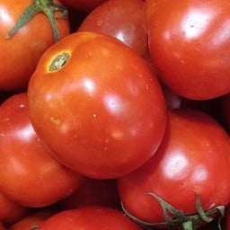 Tomato (มะเขือเทศปั่น)