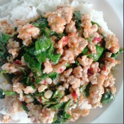 ข้าวกะเพราไก่