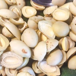 ยำผลไม้ดอง โคเล โคเล