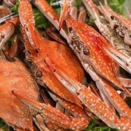 ปูม้านึ่ง ครึ่ง กิโลกรัม