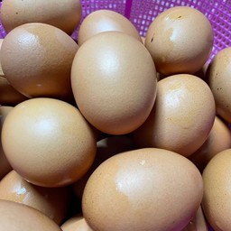 ไข่ต้ม (Boiled Egg)