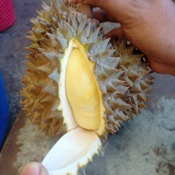 ร้่านผลไม้พี่แขก