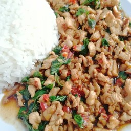 ข้าว กะเพราไก่สับ