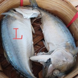 ปลาทูนึ่ง ไซส์ L  ( 2 เข่ง)