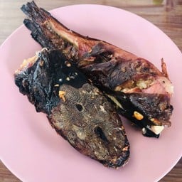 ปลาดุกย่าง