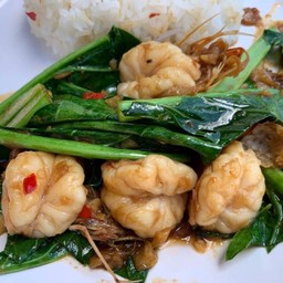 คะน้ากุ้งราดข้าว