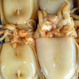 ปลาหมึกกระดอง