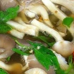 ต้มยำเห็ดรวม