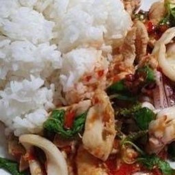 กะเพราปลาหมึกราดข้าว