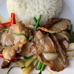 เนื้อดาวกระจายตุ๋นน้ำมันหอยราดข้าว